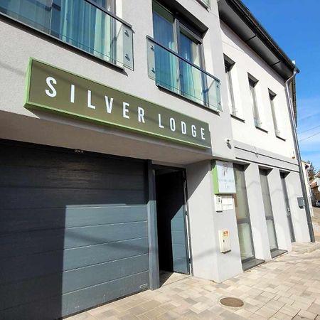 Silver Lodge Apartments Eger Exteriér fotografie